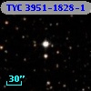TYC 3951-1828-1