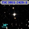 TYC 3951-2429-1