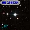 HD 239529