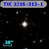 TYC 3218-313-1