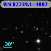 WN B2239.1+4007