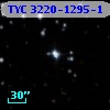 TYC 3220-1295-1