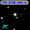 TYC 3230-441-1