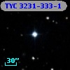 TYC 3231-333-1