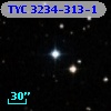 TYC 3234-313-1