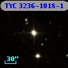 TYC 3236-1018-1