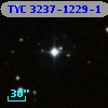 TYC 3237-1229-1