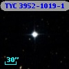 TYC 3952-1019-1