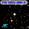 TYC 3955-490-1