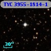 TYC 3955-1814-1