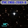 TYC 3955-2313-1