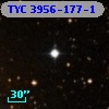 TYC 3956-177-1