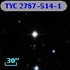 TYC 2787-514-1