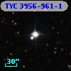TYC 3956-961-1