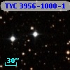 TYC 3956-1000-1