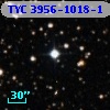TYC 3956-1018-1