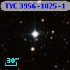 TYC 3956-1025-1