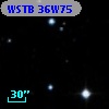 WSTB 36W75