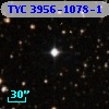 TYC 3956-1078-1
