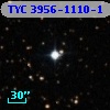 TYC 3956-1110-1