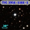 TYC 3956-1166-1