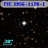 TYC 3956-1170-1