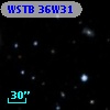 WSTB 36W31