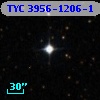 TYC 3956-1206-1