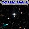 TYC 3956-1208-1
