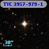 TYC 3957-979-1