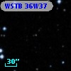 WSTB 36W37