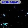 WSTB 36W42
