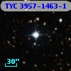 TYC 3957-1463-1