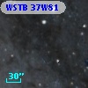WSTB 37W81