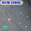 WSTB 37W95