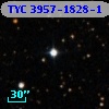 TYC 3957-1828-1