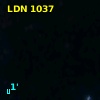 LDN 1037