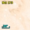 Bol 173
