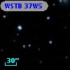 WSTB 37W5