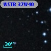 WSTB 37W40
