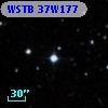 WSTB 37W177