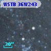 WSTB 36W243