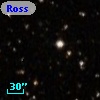 Ross  195