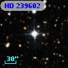 HD 239602