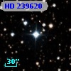 HD 239620
