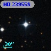 HD 239558