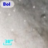 Bol D54