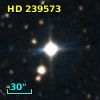 HD 239573