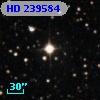 HD 239584