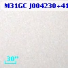 M31GC J004230+411303